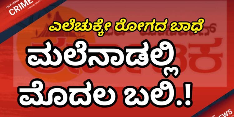 EXCLUSIVE BREAKING | ಮಲೆನಾಡಲ್ಲಿ ಮೊದಲ ಬಲಿ ! ಎಲೆಚುಕ್ಕೇ ರೋಗದ ಬಾಧೆಯಿಂದ ಬೇಸತ್ತ ರೈತ | ಮಾವಿನಮರಕ್ಕೆ ನೇಣು ಬಿಗಿದು ರೈತ ಆತ್ಮಹತ್ಯೆ !