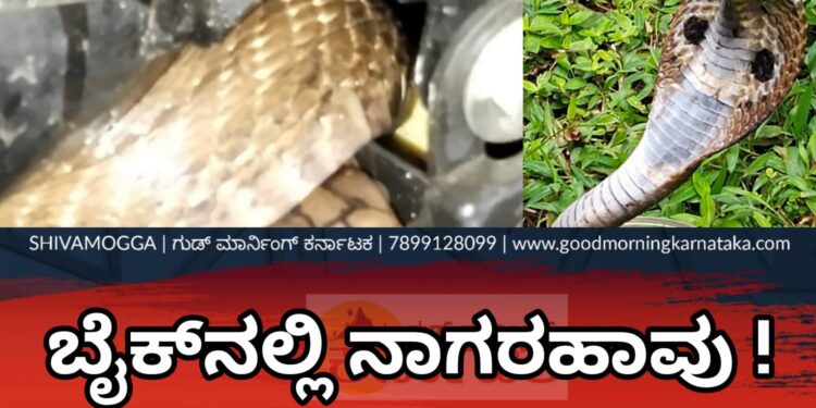 HULIKAL | ಬೈಕ್ ನಲ್ಲಿ ಅವಿತಿದ್ದ ನಾಗರ ಹಾವು | ರಾತ್ರಿ ಕಳೆದು ಬೆಳಗಾದರೂ ಕದಲದ ಹಾವು |