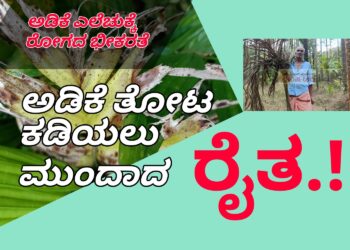 ಅಡಿಕೆ ತೋಟ ಕಡಿಯುವುದು ಬಿಟ್ಟರೆ ಬೇರೆ ಗತಿ ಇಲ್ಲ | ಎಡತೊಟ್ಲು ರೈತನ ಅಸಹಾಯಕ ಬದುಕು | ಅಡಿಕೆ ಎಲೆಚುಕ್ಕಿ ರೋಗಕ್ಕೆ ತತ್ತರ